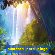 numeros para bingo de 1 a 90